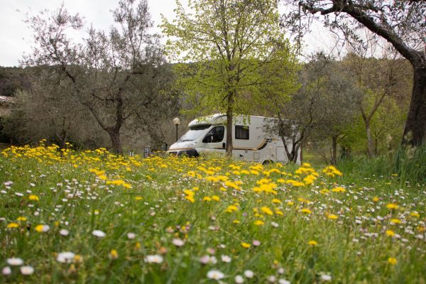 10 tips voor een campervakantie in het voorjaar